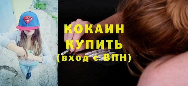 стаф Дмитровск