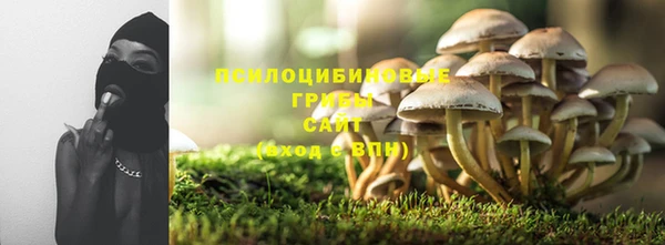 стаф Дмитровск