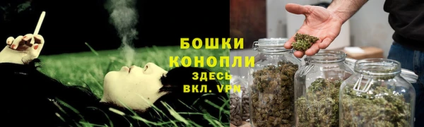 стаф Дмитровск