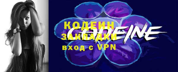 спиды Дмитриев