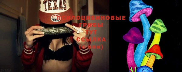 спиды Дмитриев