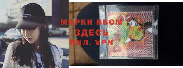 стаф Дмитровск