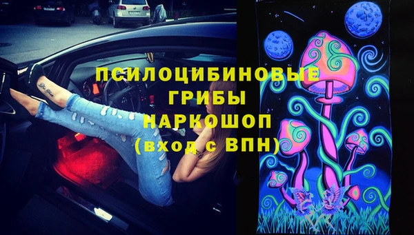 спиды Дмитриев