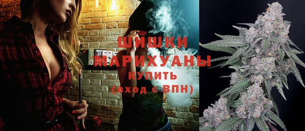 МДПВ Дмитров