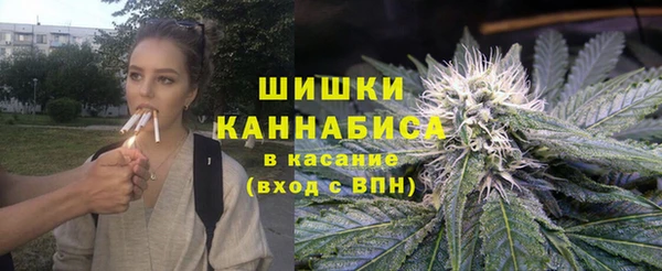 спиды Дмитриев