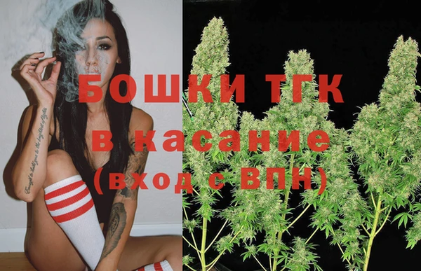 стаф Дмитровск
