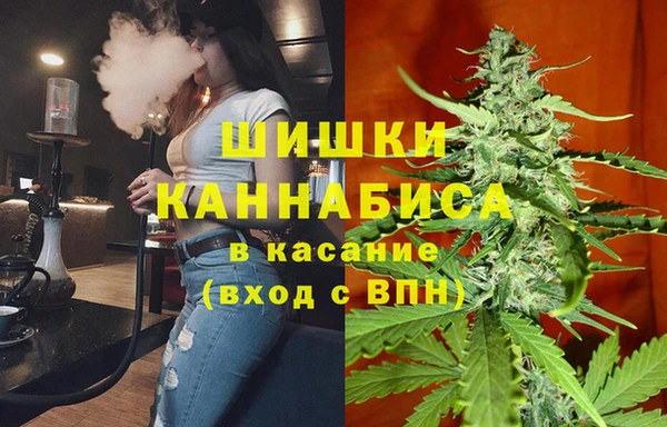 МДПВ Дмитров