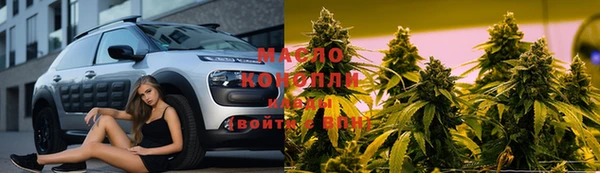 спиды Дмитриев