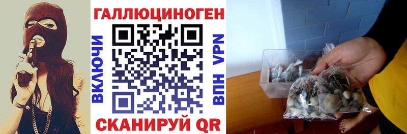 Галлюциногенные грибы ЛСД  Каргополь 